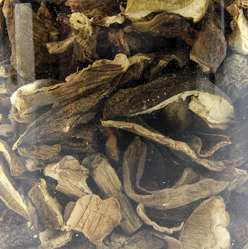 Steinpilze - Cèpes, Porcini) Plantin, 50 g