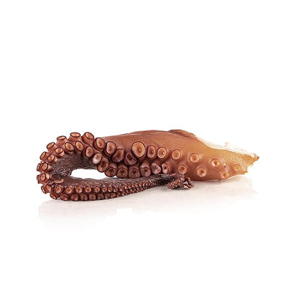 Oktopusarm (Pulpo), vorgegart, 225 g